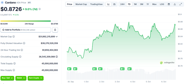 Which Crypto Could Rally 2